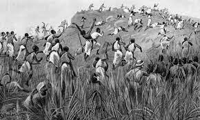 A history of the Buganda kingdom. 2